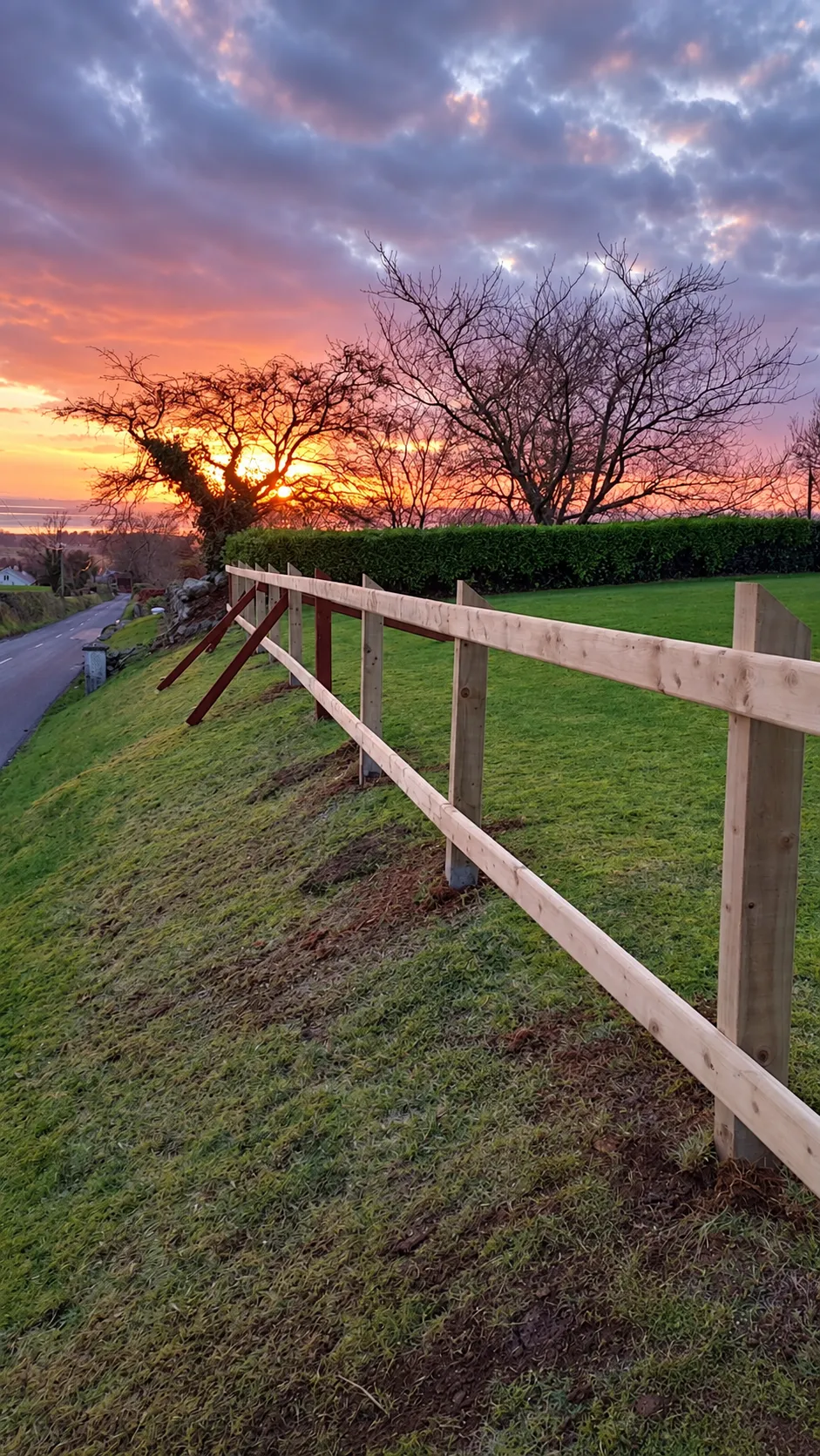 Timber trellis fencing and garden screening